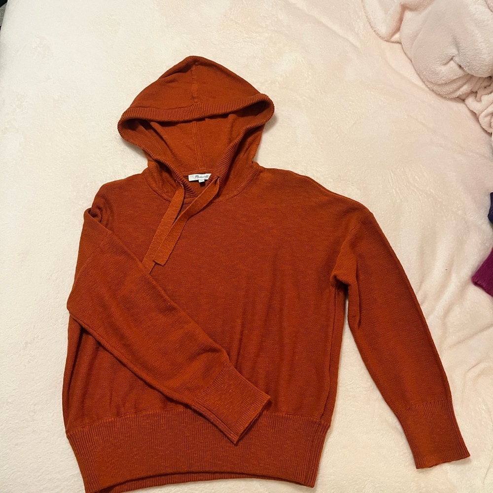 Men's Rust Sweater Hoodie